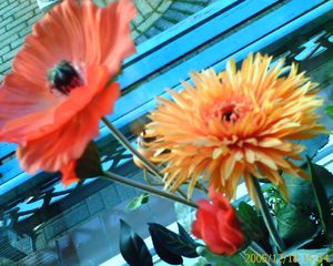 1280x1024 binnen 1
