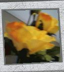 144x128 frame 02
