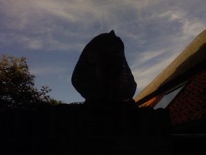 1600x1200 helderheid Plus3