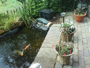 1600x1200 satunnainen 19