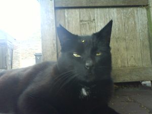 1600x1200 aléatoire 22