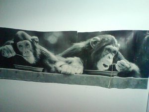 1600x1200 mxe 60 flash 03