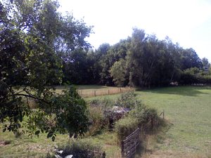 1600x1200 wit balance automatic