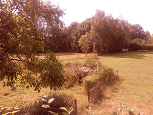 1600x1200 wit balance cloudy