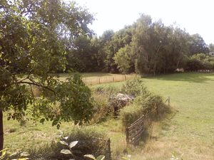 1600x1200 wit balance fine