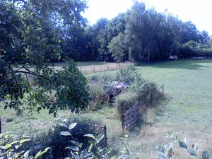 1600x1200 wit balance fluorescent