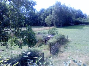 1600x1200 wit balance incandescent