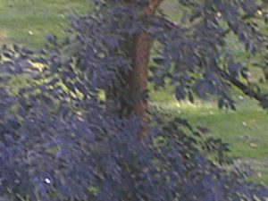 1600x1200 zoom 02