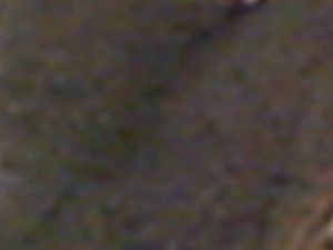 1600x1200 zoom 04