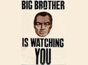 00805ts Bigbrother