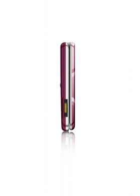 T707 rechte Seite spring rose