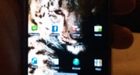Foto's Dell-smartphone met Android gelekt