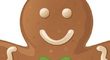 Google Nexus Two toch op komst?