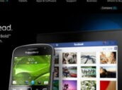 156372 Boldtouchwebsite