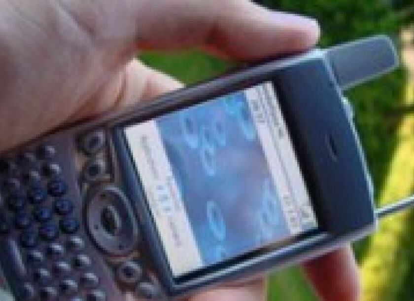 Palm Treo600