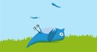 Twitterscam belooft dure smartphones