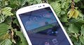 ts Galaxy S3 On Leaves
