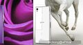 ts Sony Xperia Z1
