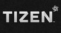 20132ts Tizen Logo