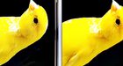 Samsung kraakt eigen Galaxy S5 met 1080p-scherm af