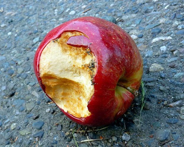 Rotting apple