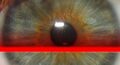 ts Iris Scanner