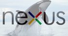 Google Nexus 6 komt nog deze week