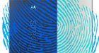 Google Nexus 6 zou vingerafdrukscanner krijgen