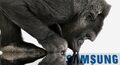 ts Corning Samsung