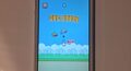 ts iPhone 5 Flappybird Ebay