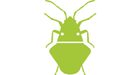 Na Samsung en Google ook maandelijkse Android-updates van LG