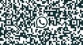 ts Whatsapp Web Qr