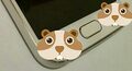 ts Samsung Galaxy S6 Xda