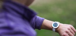 Pebble ontslaat kwart van personeel