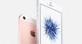 ts Apple iPhone SE Roze