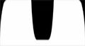 ts Huawei Notch