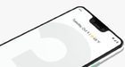 DisplayMate: Google Pixel 3 XL heeft beste telefoonscherm ooit
