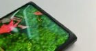 Oppo en Xiaomi tonen mobiel met selfiecamera achter het scherm