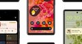 ts Google Pixel 6 Leak Evleaks