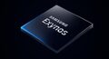 ts Samsung Exynos Chip
