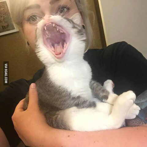 #pictureoftheday