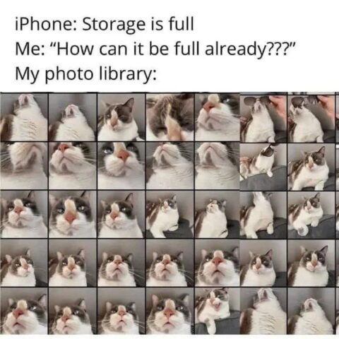 #pictureoftheday