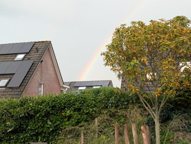 Google Pixel 10 Pro Camera Sample Rainbow