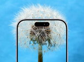 Apple Iphone 17e Expected To Get Square Selfiecamera