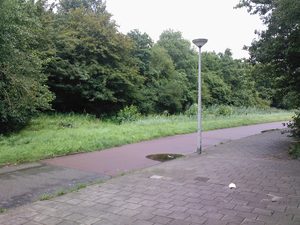 2048x1536 willekeurig 36