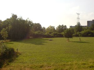 2048x1536 white balance cloudy