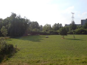 2048x1536 vit balance daylight