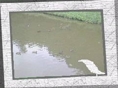 240x180 frame 01