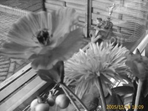 640x480 grayscale