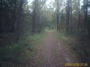 640x480 sport 4